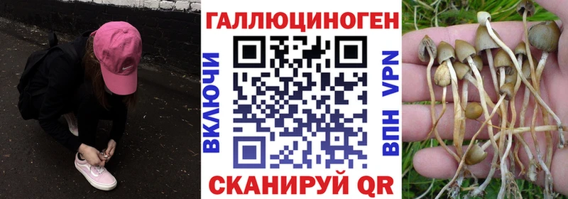 сколько стоит  kraken вход  Галлюциногенные грибы прущие грибы  Бодайбо 